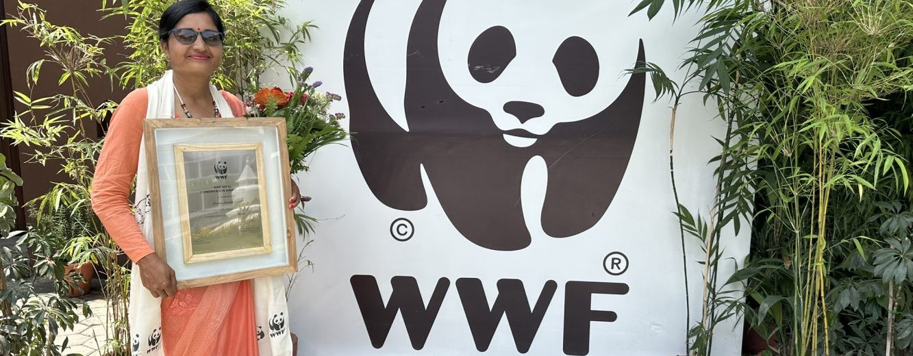 Doma receiving wwf award